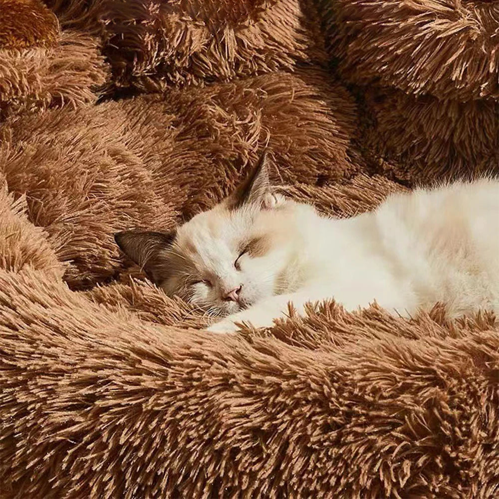 MeowWoof Pet Dog Sofa Beds