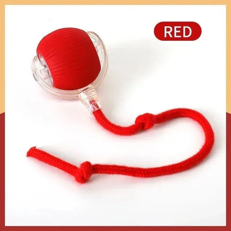 Smart Interactive Cat Toys Ball