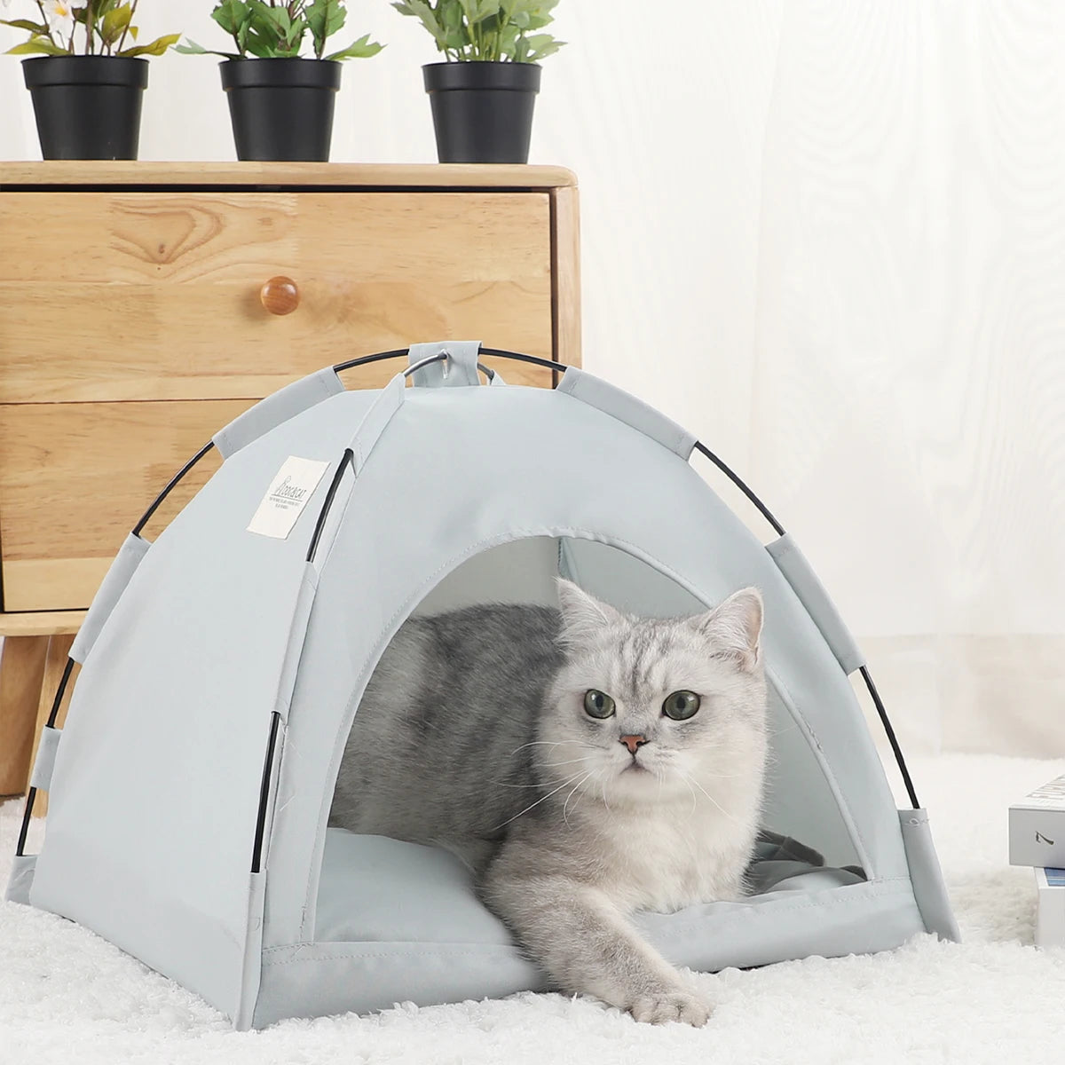 House for Cats Tent Sofa Beds