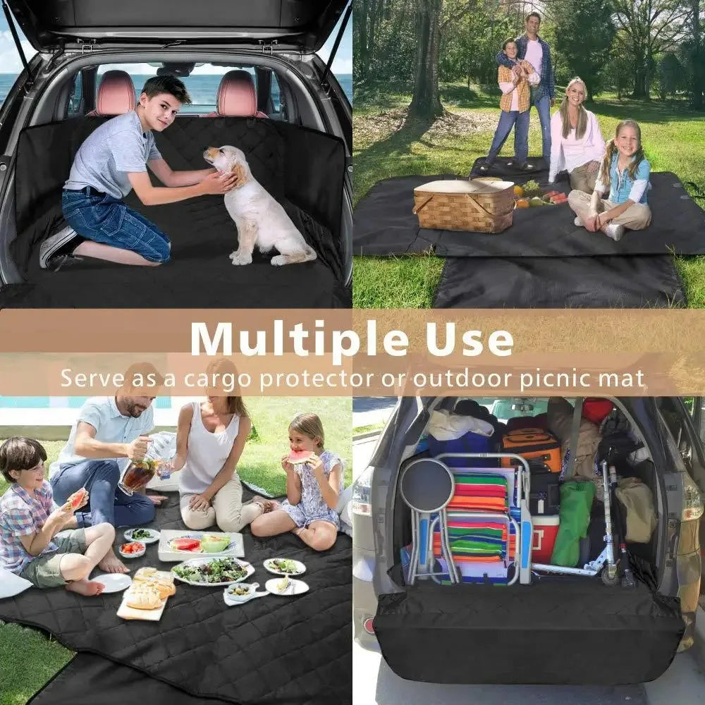 Dog Mat in the Car