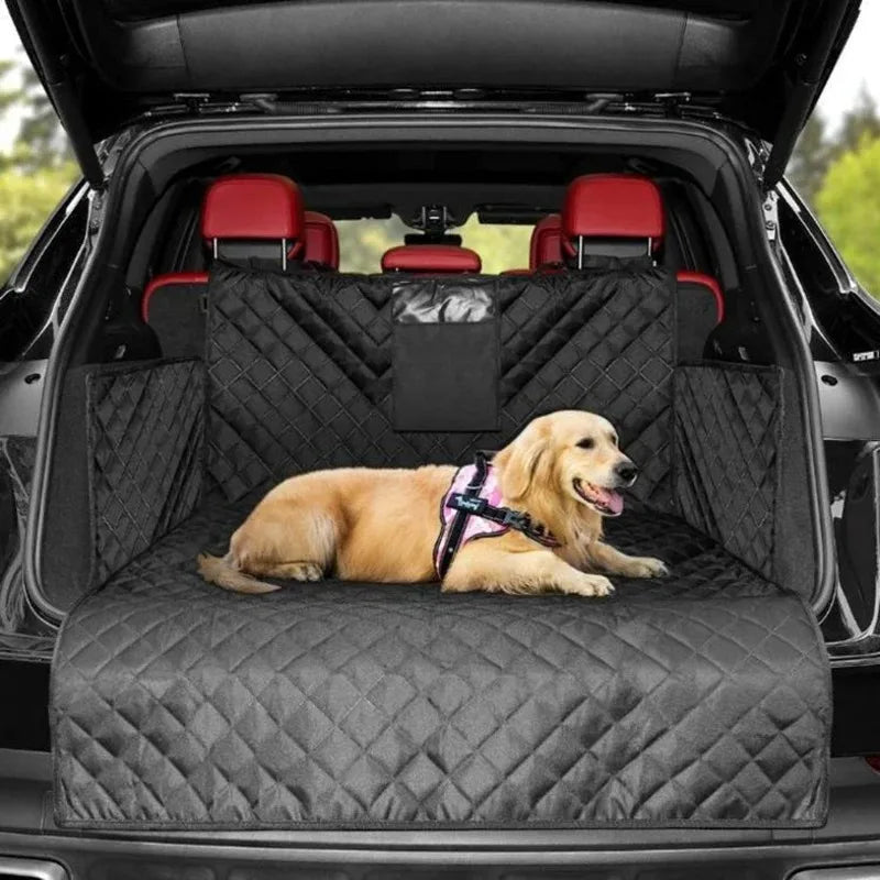 Dog Mat in the Car