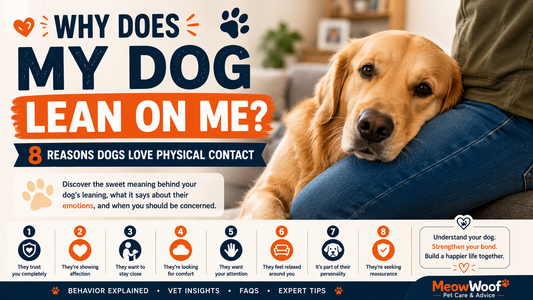 Why Does My Dog Lean on Me? 8 Reasons Dogs Love Physical Contact