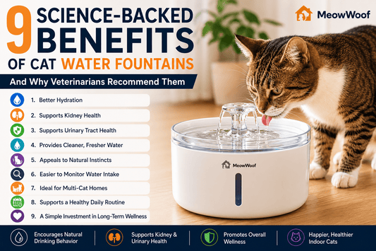 9 Science-Backed Benefits of Cat Water Fountains (And Why Veterinarians Recommend Them) - MeowWoof