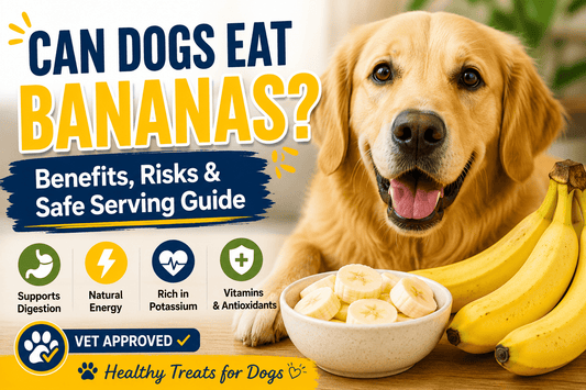 Can Dogs Eat Bananas? Benefits, Risks & Safe Serving Guide - MeowWoof