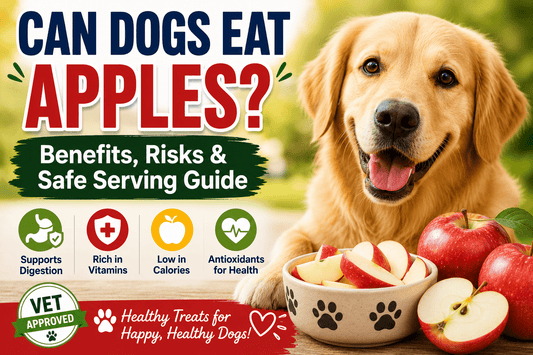 Can Dogs Eat Apples? Benefits, Risks & Safe Serving Guide - MeowWoof