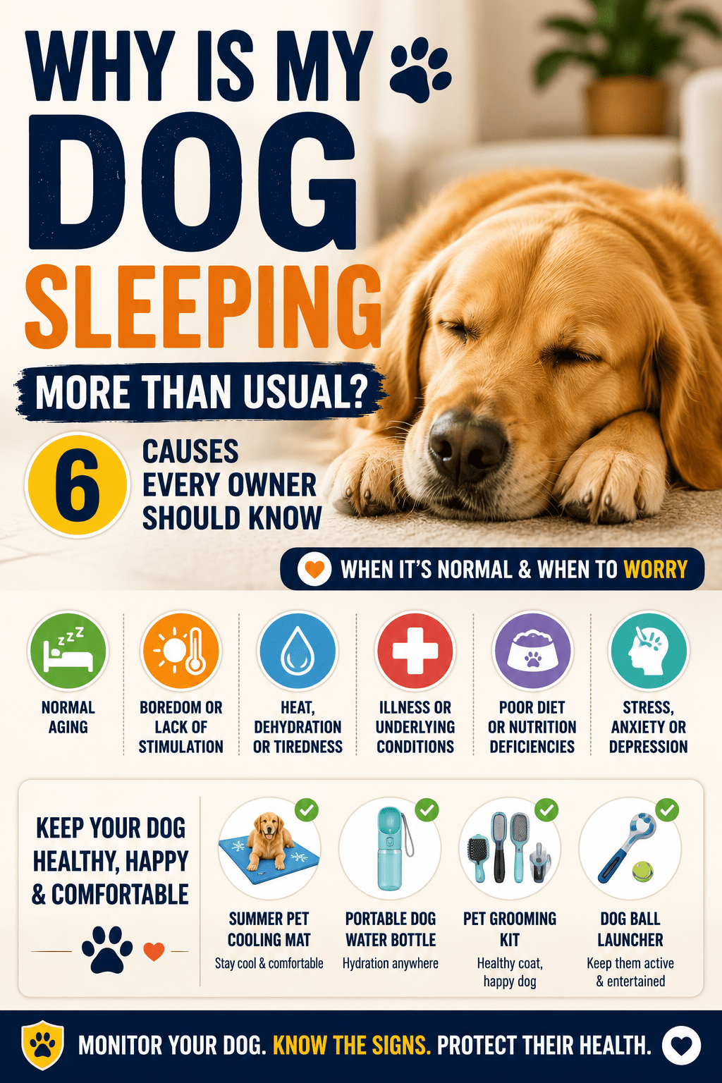 Why Is My Dog Sleeping More Than Usual? Causes & When to Worry - MeowWoof