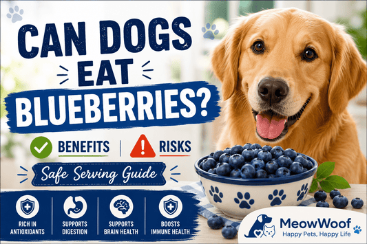 Can Dogs Eat Blueberries? Benefits, Risks & Safe Serving Guide - MeowWoof