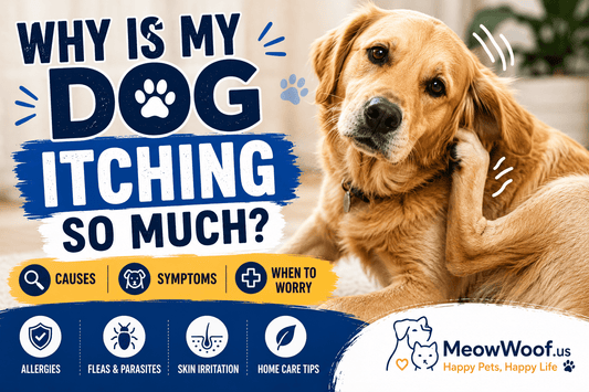 Why Is My Dog Itching So Much? Causes, Symptoms & When to Worry - MeowWoof