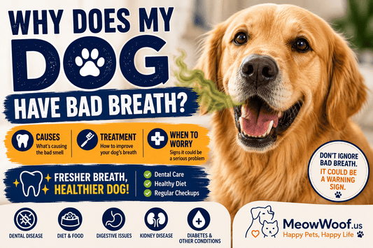Why Does My Dog Have Bad Breath? Causes, Treatment & When to Worry - MeowWoof
