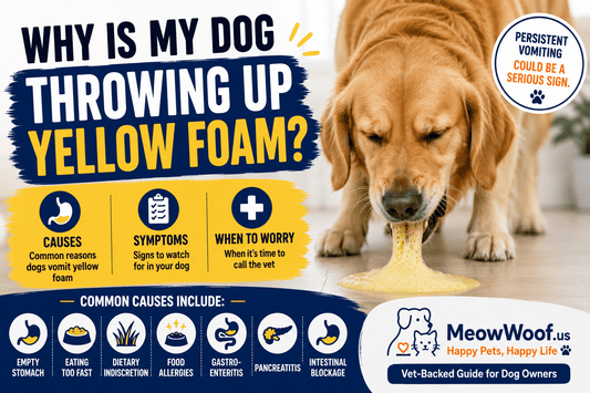 Why Is My Dog Throwing Up Yellow Foam? Causes & When to Worry - MeowWoof