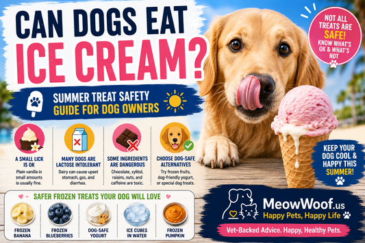 Can Dogs Eat Ice Cream? Summer Treat Safety Guide for Dog Owners - MeowWoof