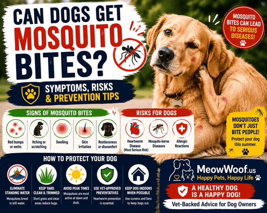 Can Dogs Get Mosquito Bites? Symptoms, Risks & Prevention Tips - MeowWoof