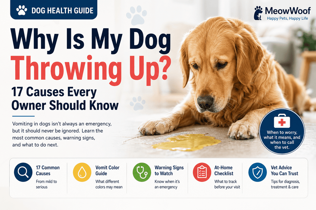 Why Is My Dog Throwing Up? 17 Causes Every Owner Should Know - MeowWoof