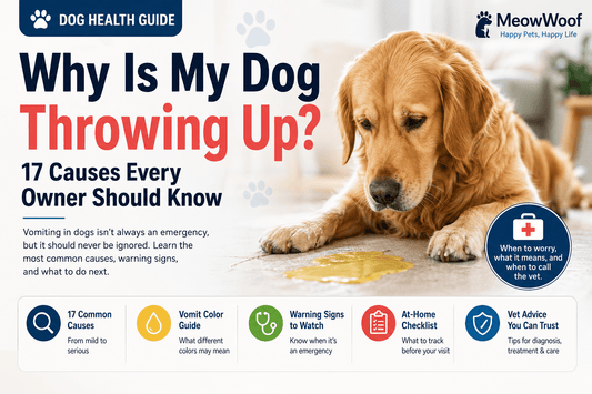 Why Is My Dog Throwing Up? 17 Causes Every Owner Should Know - MeowWoof
