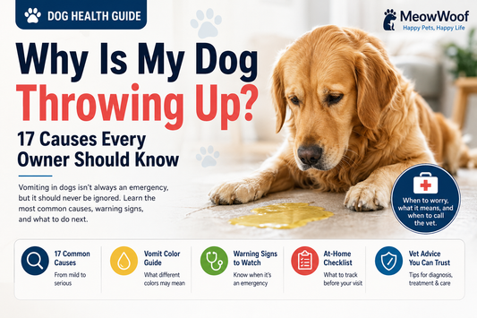 Why Is My Dog Throwing Up? 17 Causes Every Owner Should Know