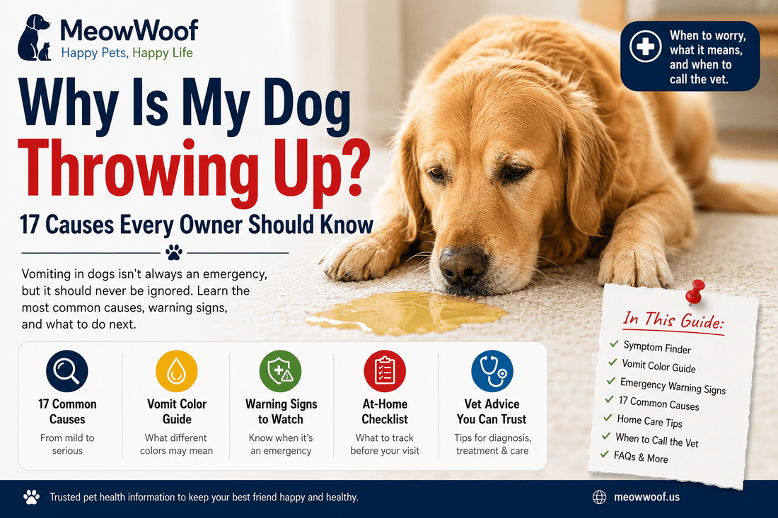 Why Is My Dog Panting So Much? 18 Causes Every Dog Owner Should Know - MeowWoof