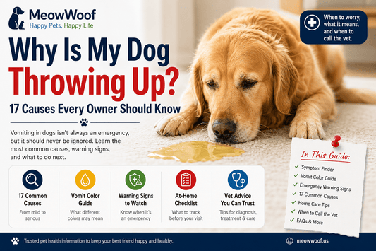 Why Is My Dog Panting So Much? 18 Causes Every Dog Owner Should Know - MeowWoof