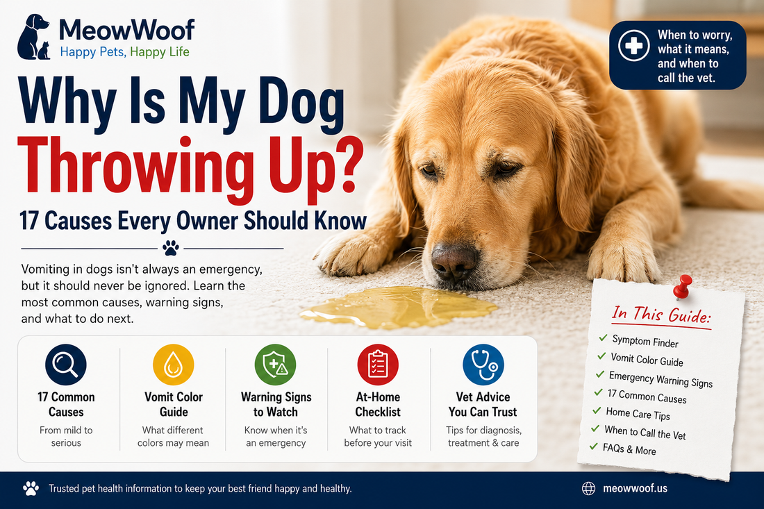 Why Is My Dog Panting So Much? 18 Causes Every Dog Owner Should Know