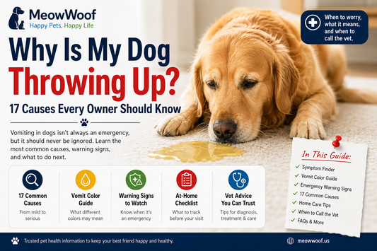 Why Is My Dog Panting So Much? 18 Causes Every Dog Owner Should Know