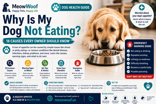 Why Is My Dog Not Eating? 18 Causes Every Owner Should Know - MeowWoof