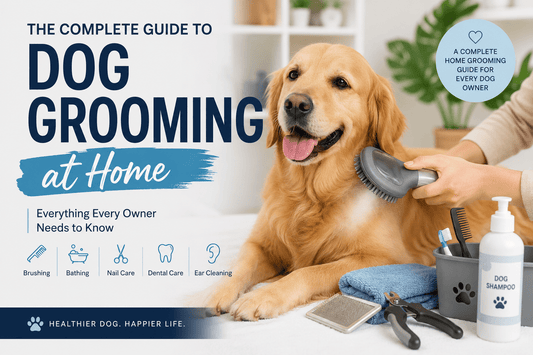 The Complete Guide to Dog Grooming at Home: Everything Every Owner Needs to Know - MeowWoof