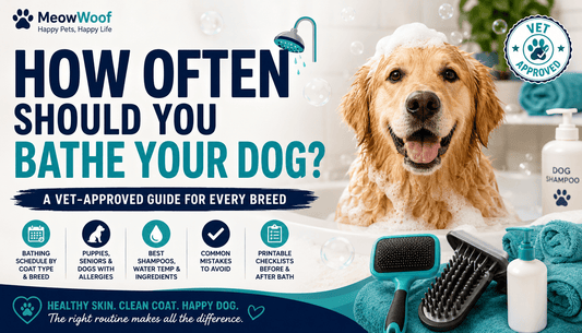 How Often Should You Bathe Your Dog? A Vet-Approved Guide for Every Breed - MeowWoof
