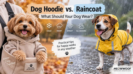 Dog Hoodie vs. Raincoat: What Should Your Dog Wear in Cold, Rainy & Windy Weather?