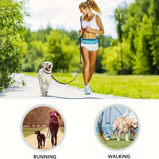 The Joy of Walking Your Dog: How to Make Every Walk More Meaningful