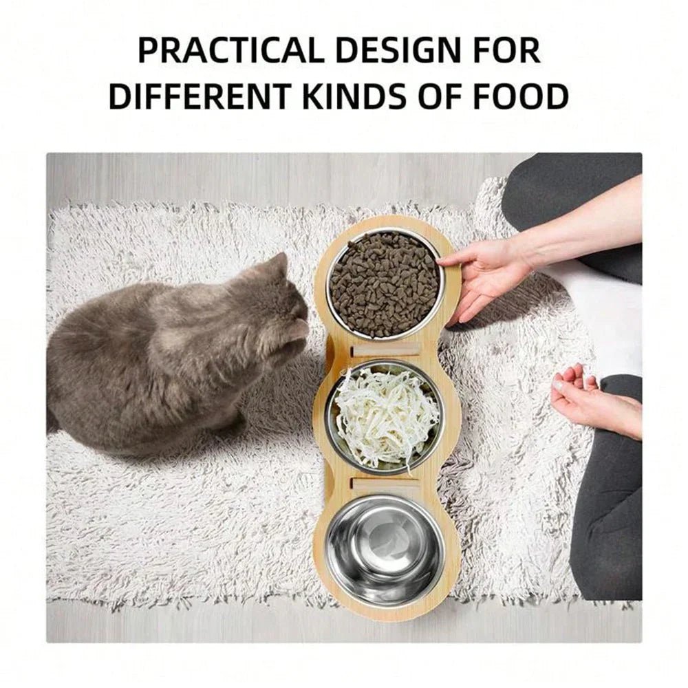 Why Every Indoor Cat Needs an Elevated Feeding Station: Vet-Backed Benefits for Healthier Mealtimes - MeowWoof