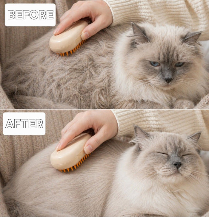 Steam Pet Grooming Brush: Shedding Guide