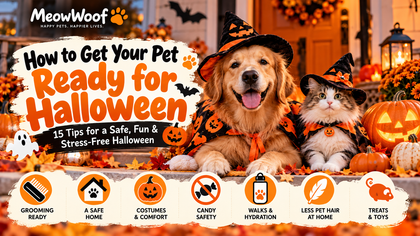 How to Get Your Pet Ready for Halloween: 15 Tips for a Safe, Fun & Stress-Free Halloween