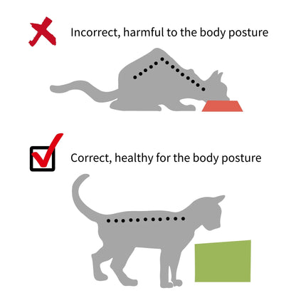 Raised Cat Bowl for Healthier Feeding Position