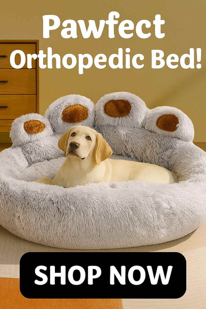 MeowWoof Pet Dog Sofa Beds