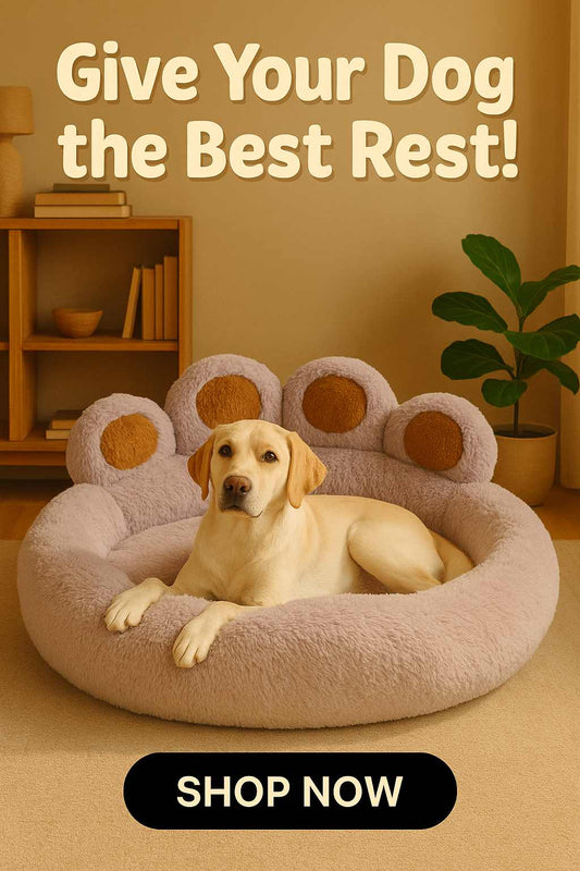 MeowWoof Pet Dog Sofa Beds