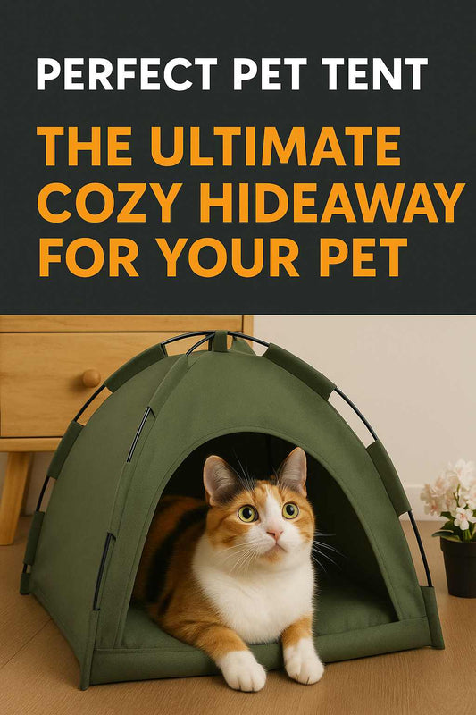 House for Cats Tent Sofa Beds