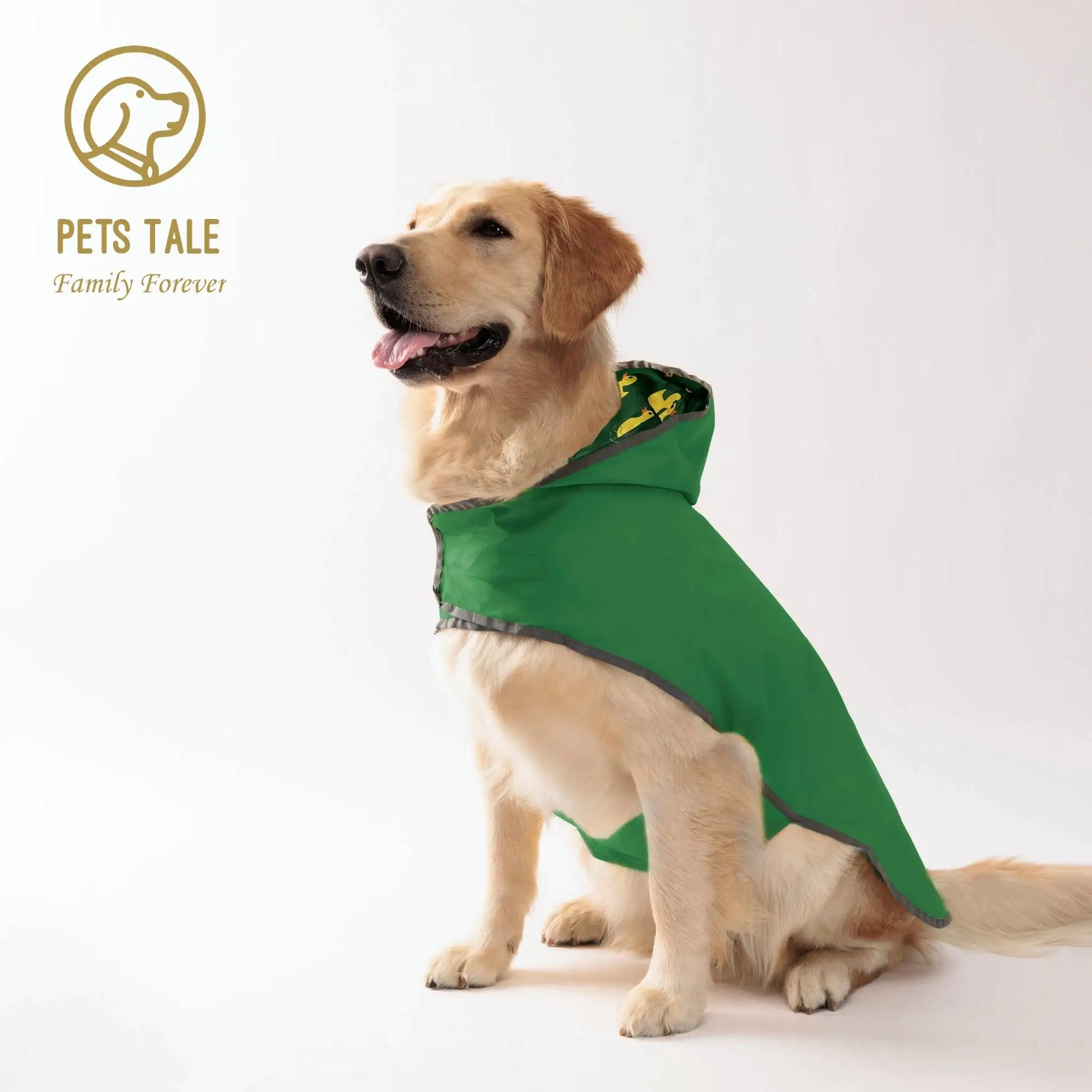 Dog wearing a green raincoat with 'Pets Tale' logo in the corner.