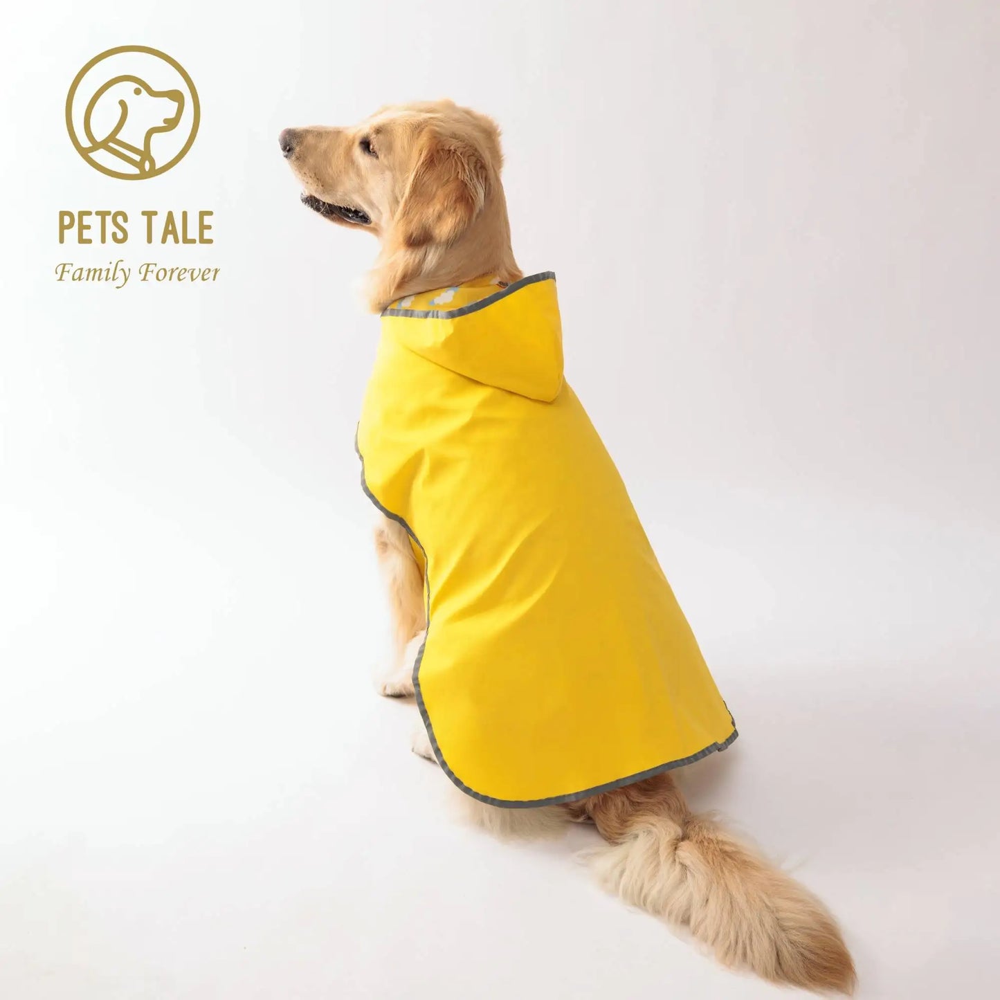 Dog wearing a yellow raincoat with 'Pets Tale' logo on a white background