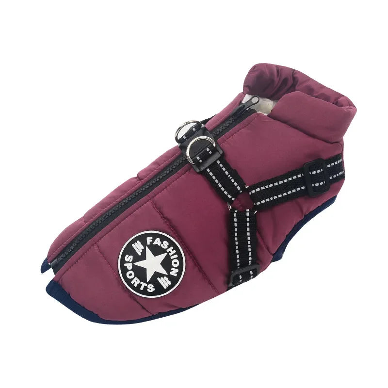 Pet Dog 2 in 1 Jacket With Harness Winter Warm