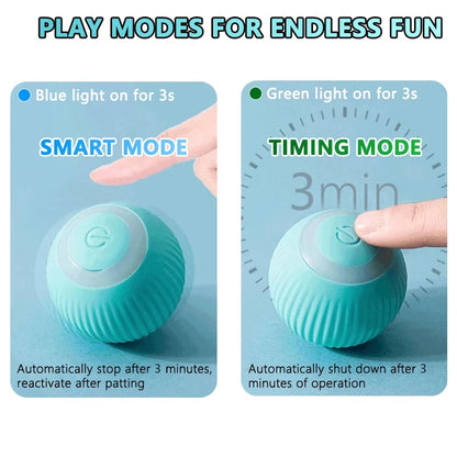 MeowMotion™ Smart Ball