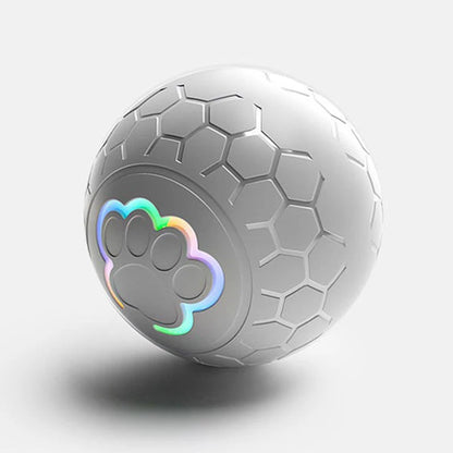 Smart Dog Toy Ball