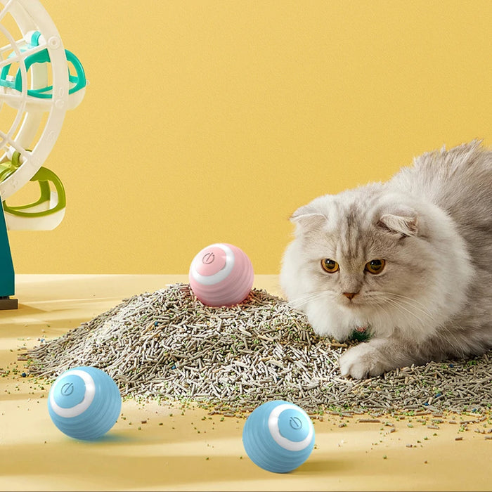 MeowMotion™ Smart Ball
