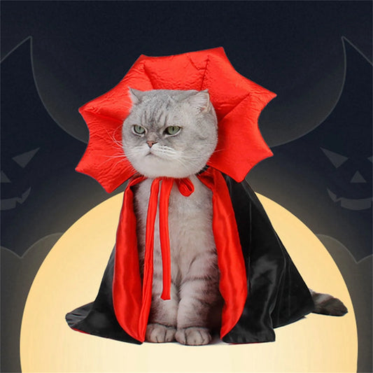 Cute Halloween Pet Costumes