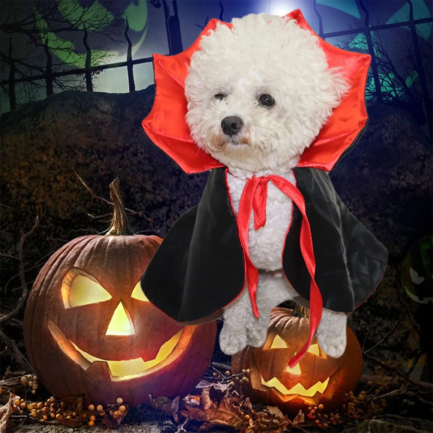 Cute Halloween Pet Costumes