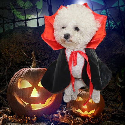 Cute Halloween Pet Costumes