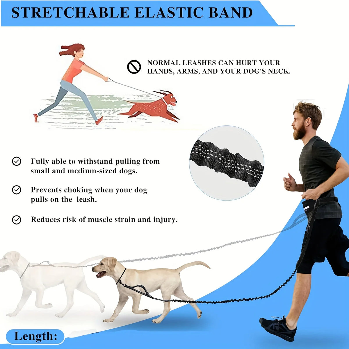 Hands-Free Dog Leash for Running, Walking & Hiking | MeowWoof