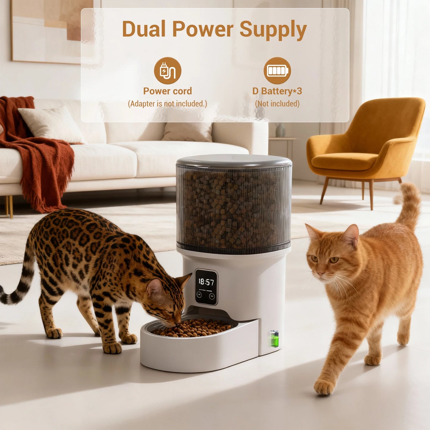 Automatic cat & dog feeder with timer and 4L food storage for scheduled feeding
