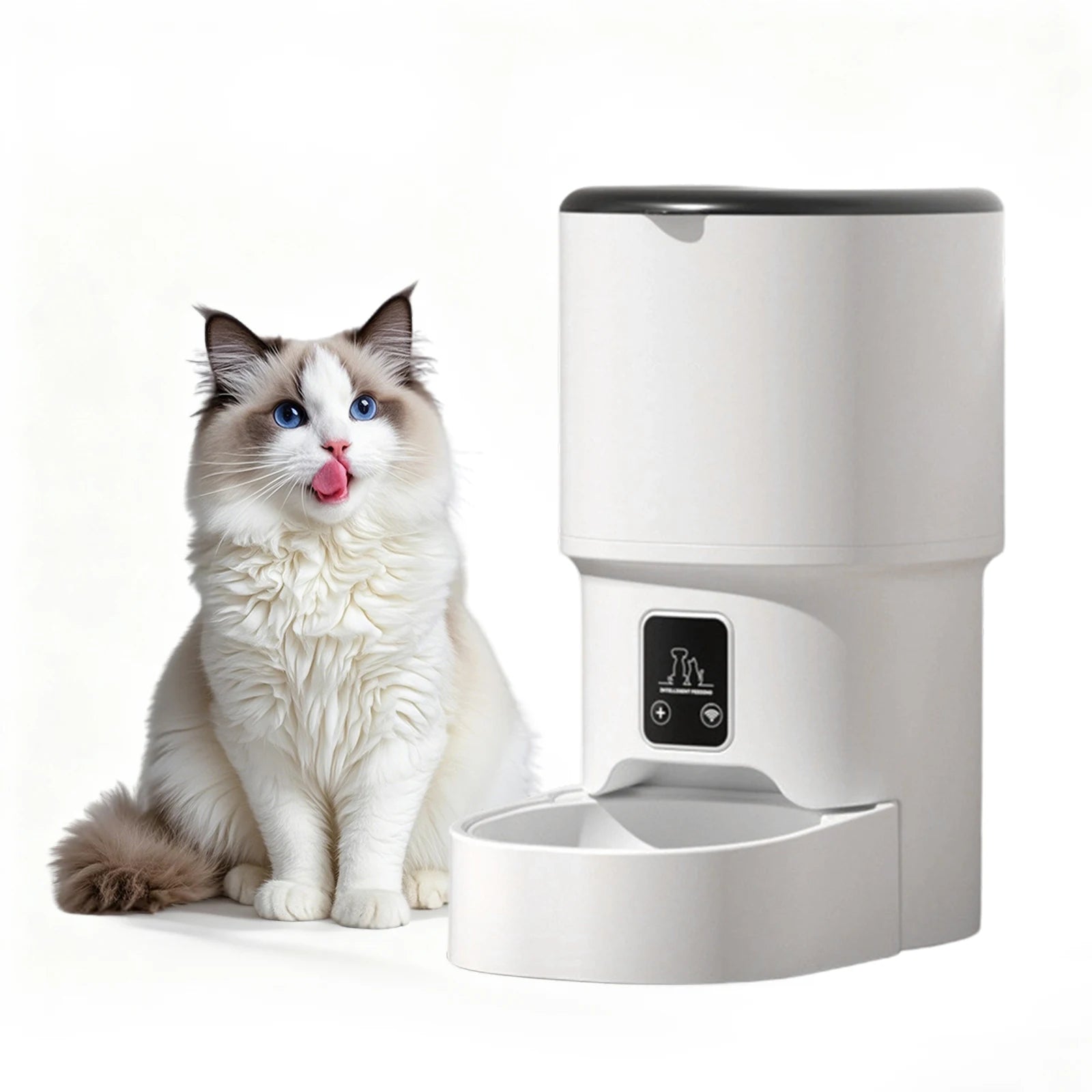 Automatic cat & dog feeder with timer and 4L food storage for scheduled feeding