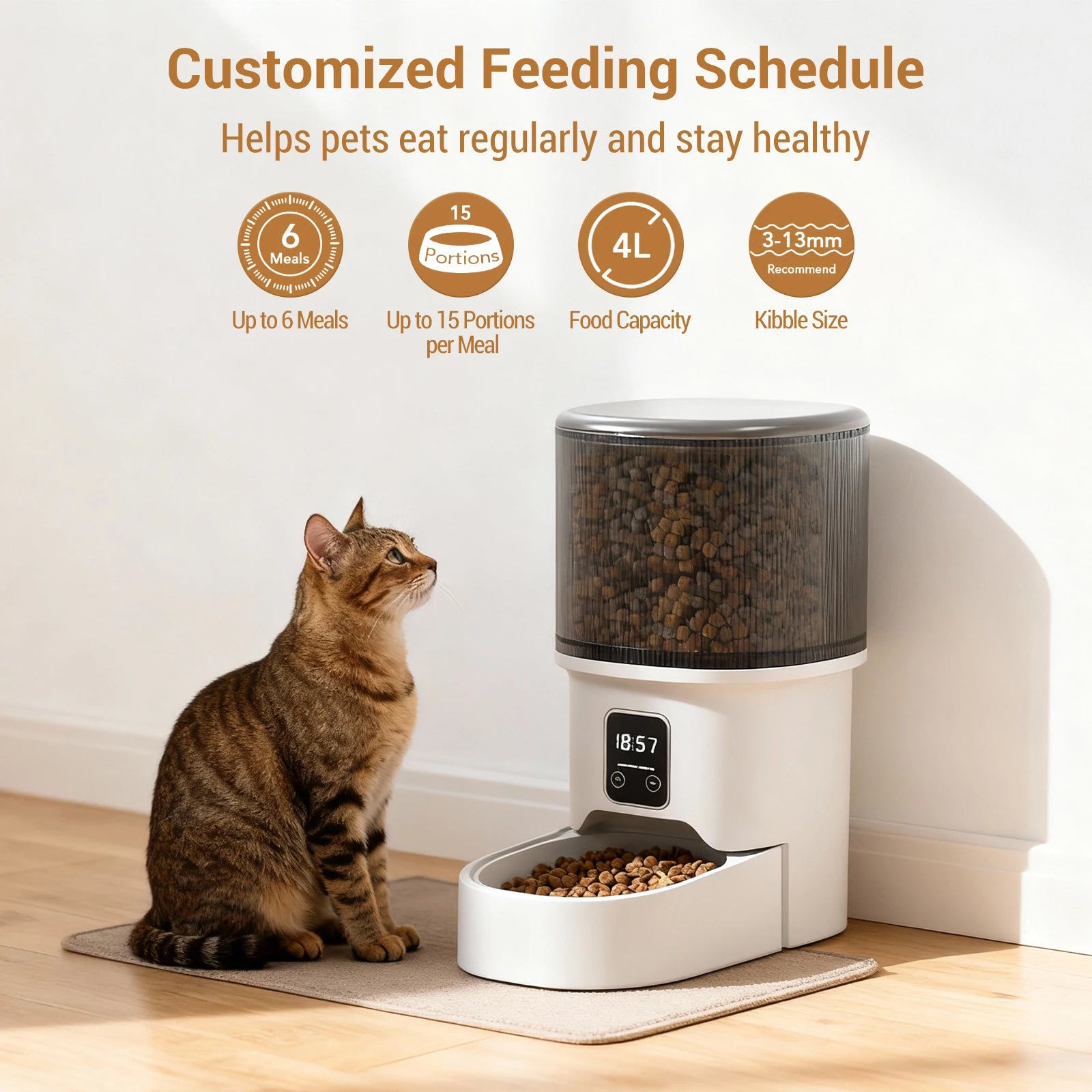 Automatic cat & dog feeder with timer and 4L food storage for scheduled feeding