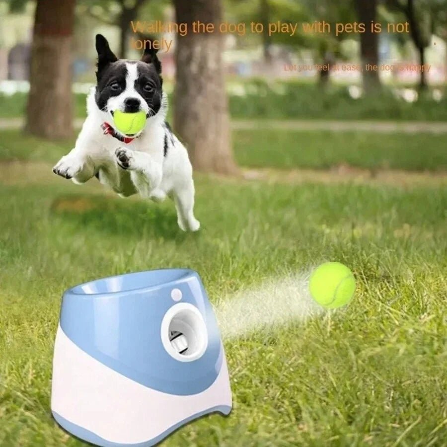 Automatic Dog Ball Launcher | Keep Your Dog Active & Healthy - MeowWoof