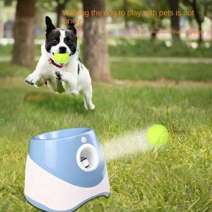 Automatic Dog Ball Launcher | Keep Your Dog Active & Healthy - MeowWoof